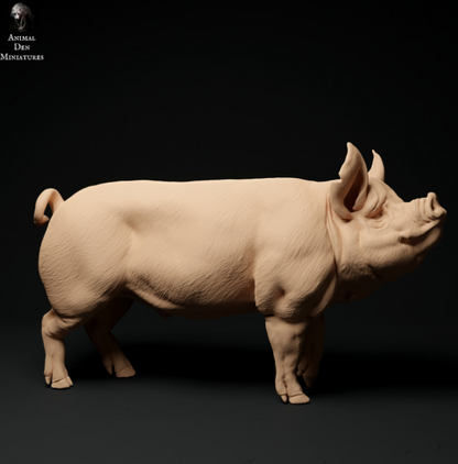 Cochon Bershire n° 4 par Animal den miniatures