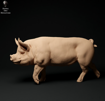 Cochon Bershire n° 5 par Animal den miniatures