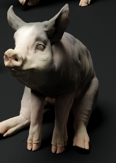 Porcelet Bershire n° 1 d'Animal Den Miniatures