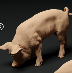 Bershire Piglet No. 4 from Animal den miniatures