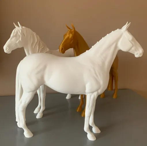 Rookie par Carola Funder / Version Dressage Crinière