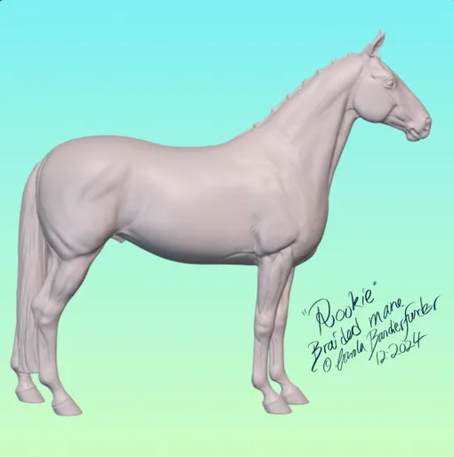 Rookie par Carola Funder / Version Dressage Crinière