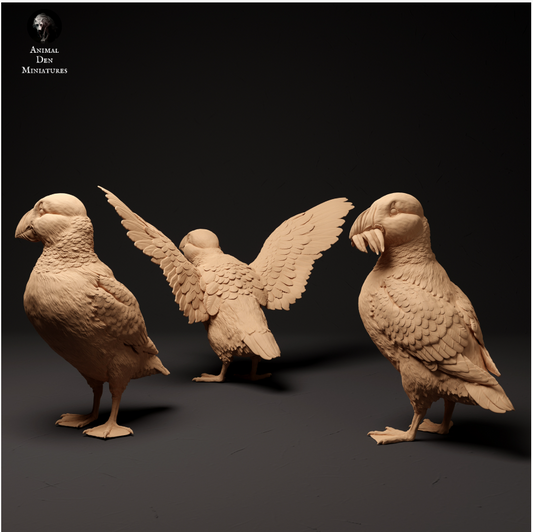 Ensemble de macareux de Animal den miniatures