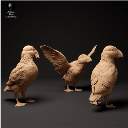 Ensemble de macareux de Animal den miniatures