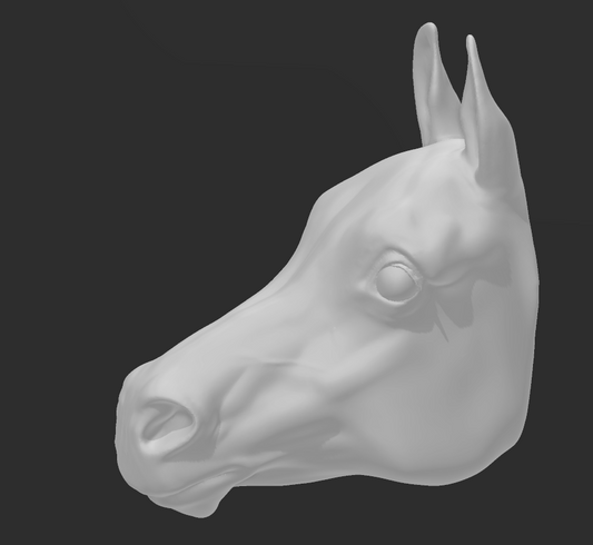 Tête de cheval arabe pour la personnalisation de modèles de chevaux par Bexbee Studios