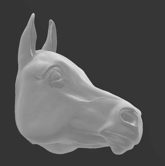 Tête de cheval arabe pour la personnalisation de modèles de chevaux par Bexbee Studios