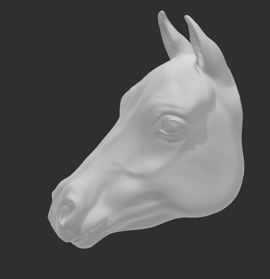 Tête de cheval sang chaud « mince » pour la personnalisation de modèles de chevaux par Bexbee Studios