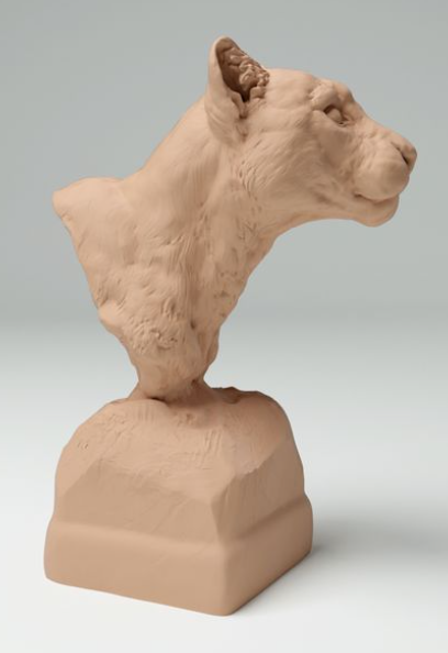 Buste de léopard par Dino et Dog