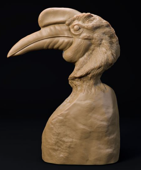 Nashornvogel Büste von Dino and Dog als 3D Druck