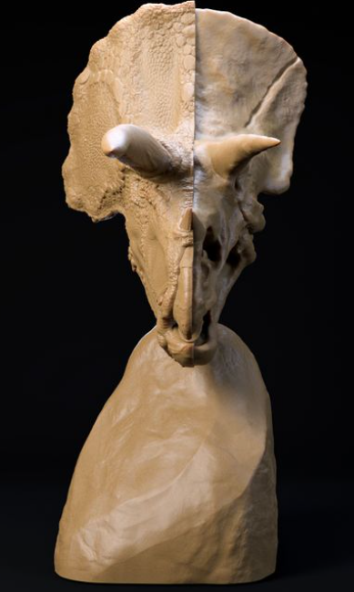 Buste de Triceratops par Dino and Dog en impression 3D