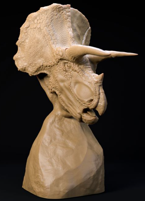 Triceratops Büste von Dino and Dog als 3D Druck