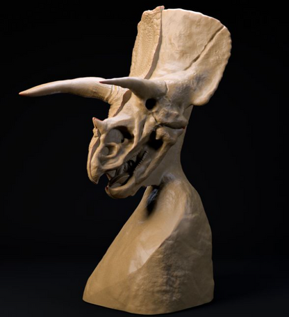 Buste de Triceratops par Dino and Dog en impression 3D