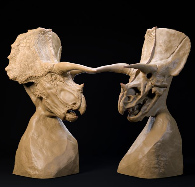 Triceratops Büste von Dino and Dog als 3D Druck