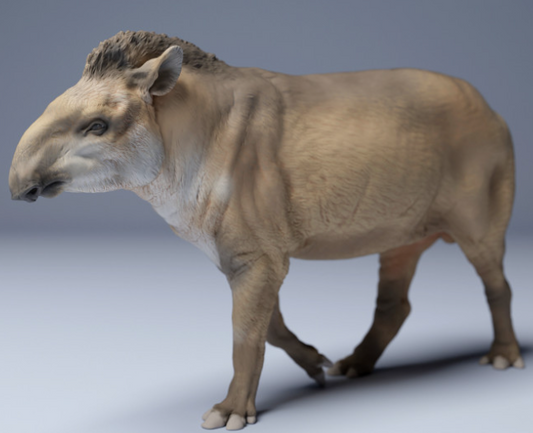 Tapir de Animal den miniatures