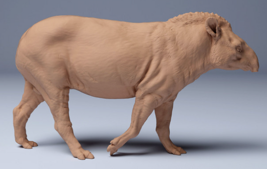 Tapir de Animal den miniatures