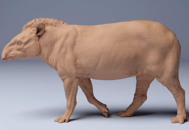 Tapir de Animal den miniatures