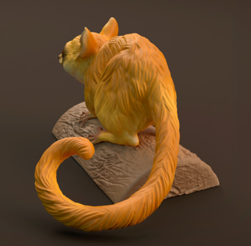 Lémurien souris d'Animal den miniatures