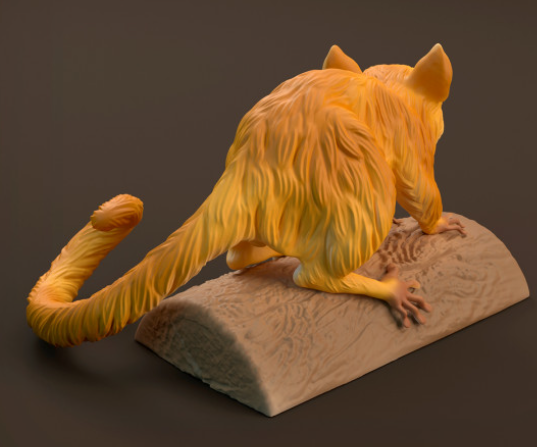 Lémurien souris d'Animal den miniatures