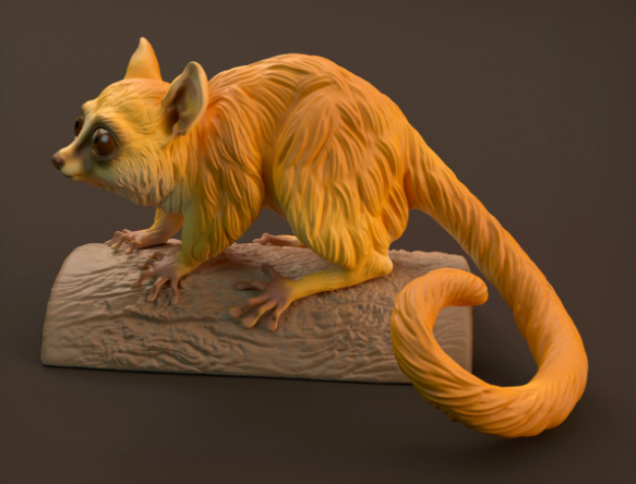 Lémurien souris d'Animal den miniatures