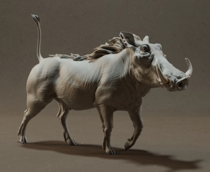 Phacochère de Animal den miniatures