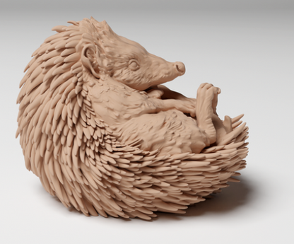 Hérisson européen d'Animal den miniatures