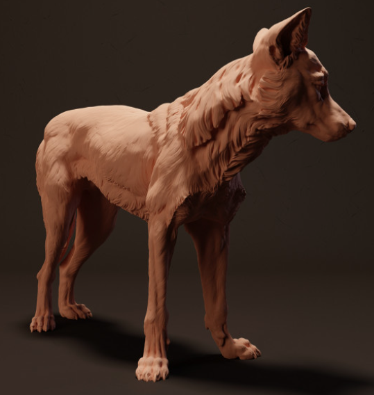 Dingo von Animal den miniatures