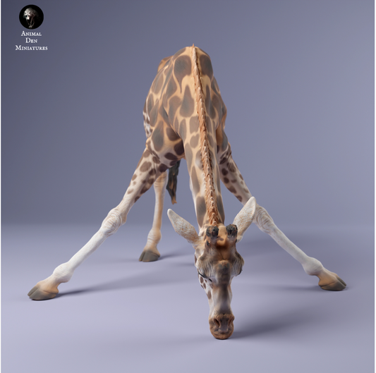 Girafe Rotschild buvant par Animal den miniatures en impression 3D