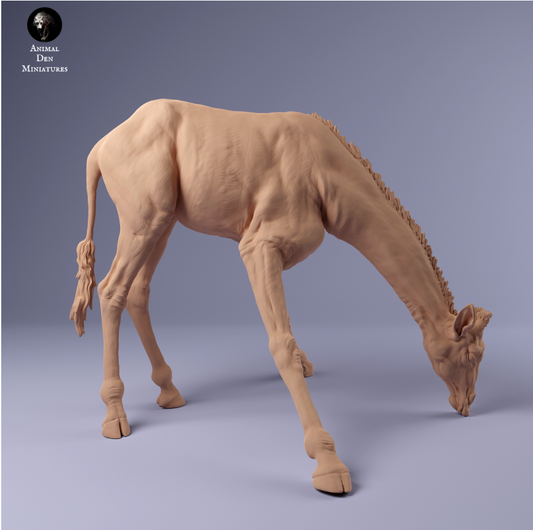 Girafe Rotschild buvant par Animal den miniatures en impression 3D