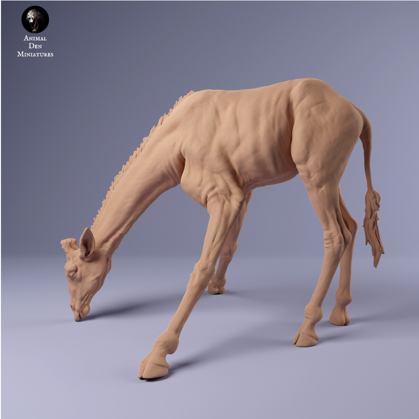 Drinking Rotschild Giraffe by Animal den miniatures as 3D print