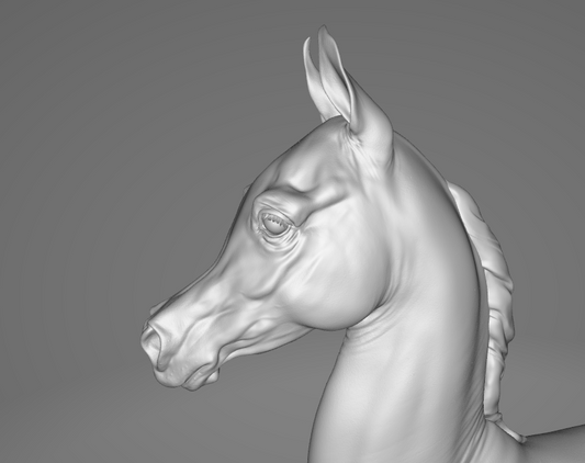 Poulain arabe par BreathTime en impression 3D