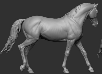 Gehendes Pferd von Katarina Katunina Modell 