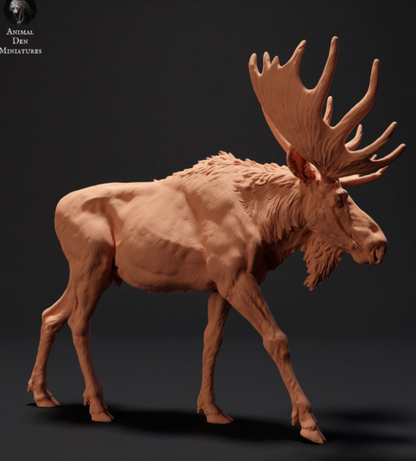 Miniatures d'élans provenant de tanières d'animaux, imprimées en 3D