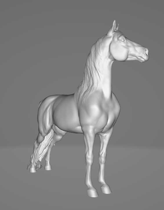 Morgan de Printed Ponies