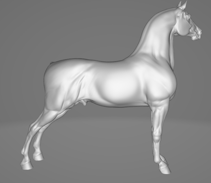 Corps brut Morgan pour le coiffage des poneys imprimés