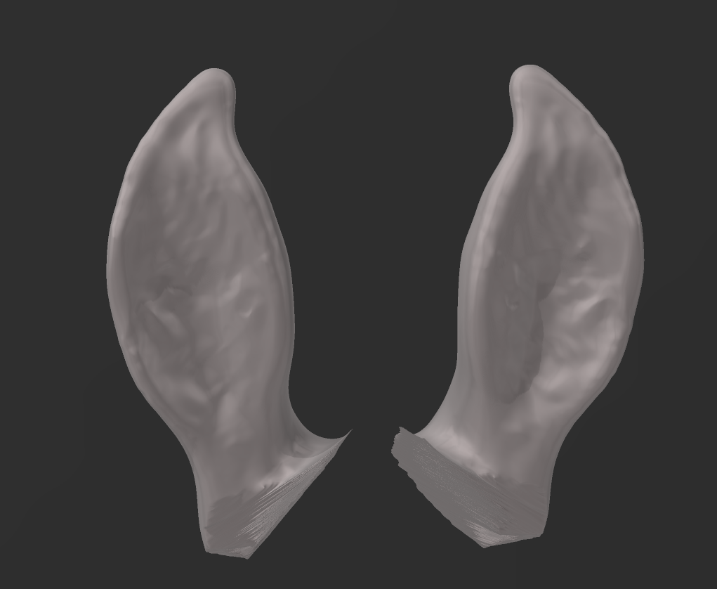 2x Spanish Horse Ears for custers by Mirek_art_models / Exklusive for us