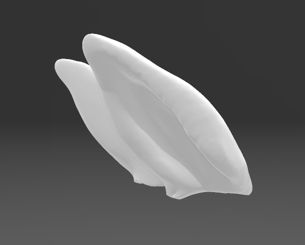 2x hiding back horse ears for custers from Mirek_art_models / Exclusive for us