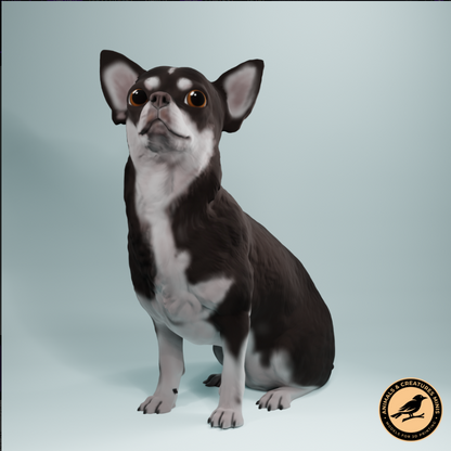 Border Collie No.2 from Animal the miniatures
