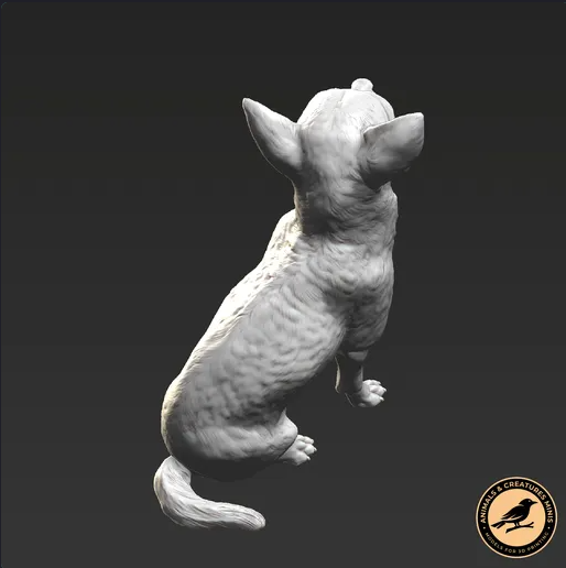 Adorable chihuahua d'Animaux et Créatures Minis en impression 3D