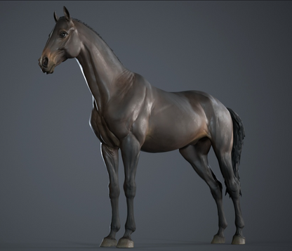 Warmbluthengst in T-Pose von BreathTime als 3D Druck