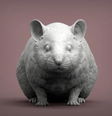 Hamsters nains d'Akuzmenko