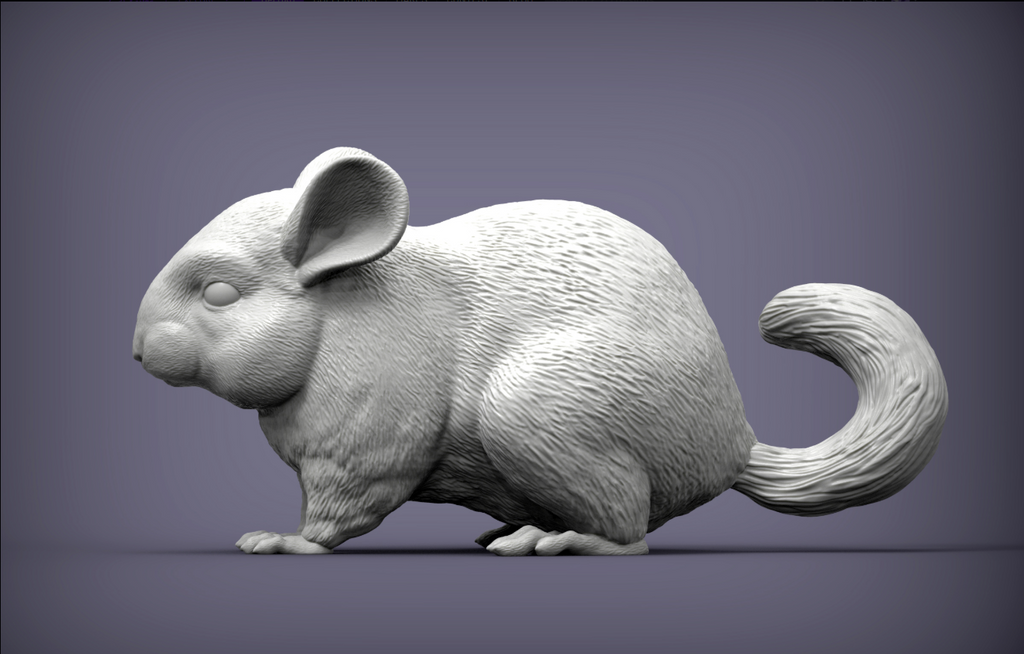 Chinchilla d'Akuzmenko en impression 3D