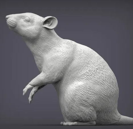 Rat assis par Akuzmenko en impression 3D