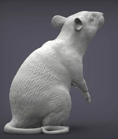 Rat assis par Akuzmenko en impression 3D