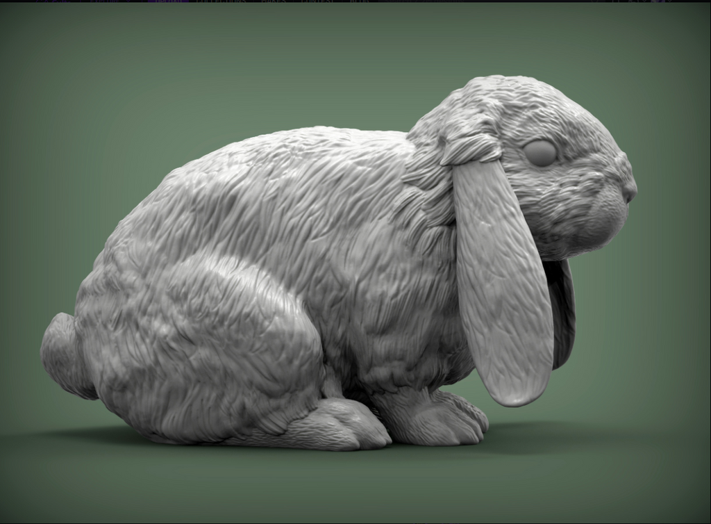 Lapin aux oreilles tombantes par Akuzmenko en impression 3D