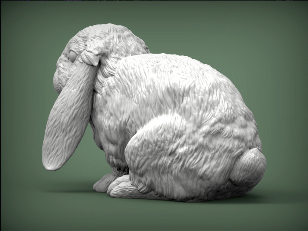 Lapin aux oreilles tombantes par Akuzmenko en impression 3D