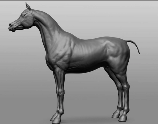 Araber Custer Version von DaniArtist als 3D Druck