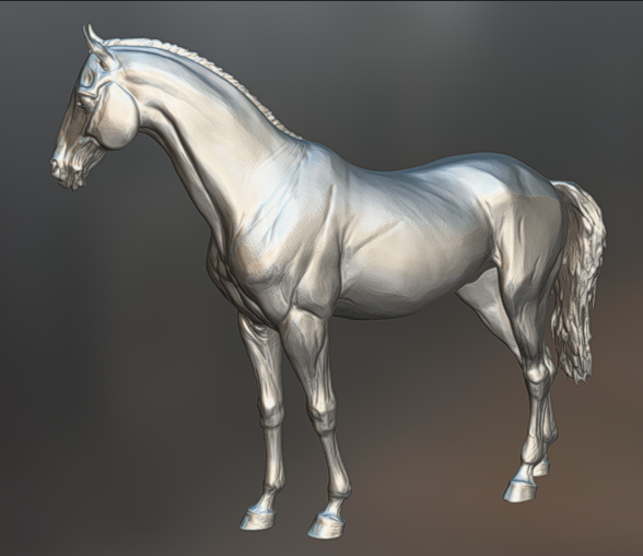 Warmblood stallion in T-Pose No. 2 by BreathTime as 3D print