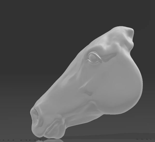 Achal Tekkiner Kopf zum custen von PrintedPonies als 3D Druck