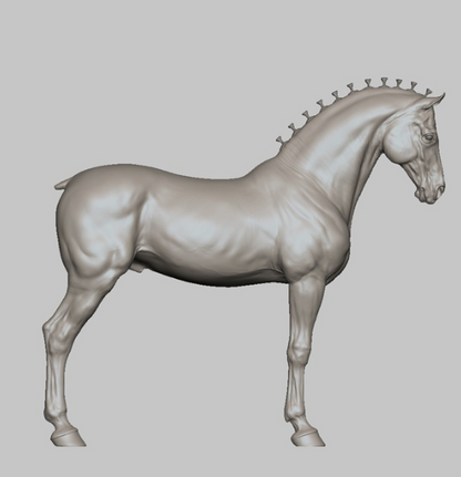 Andalusian stallion in T-pose / Version for customizing by BreathTime as 3D print
