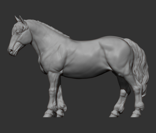 Stehendes Pony von Akuzmenko als 3D Druck